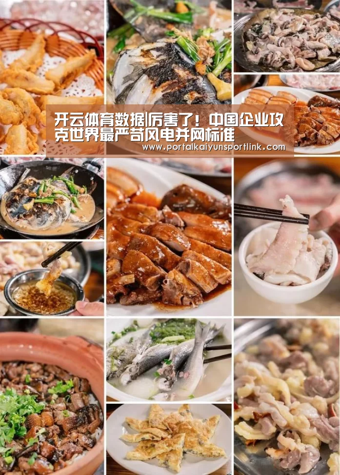 开云体育官网