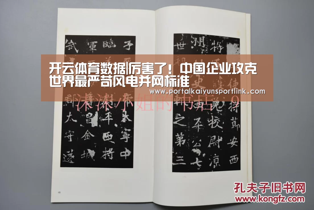 开云体育官网
