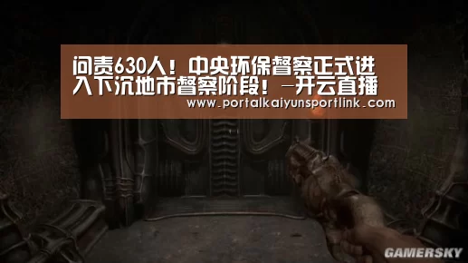开云体育官网