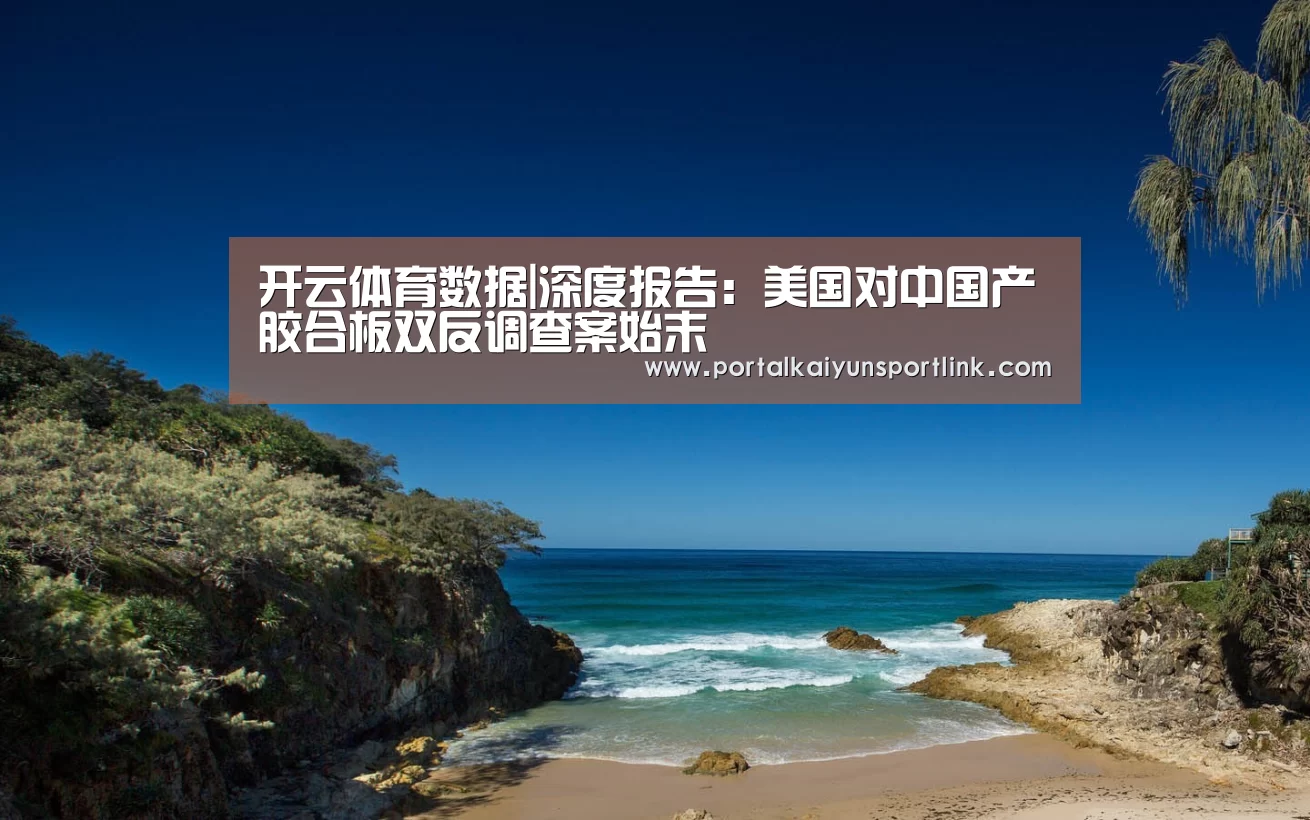 开云体育数据|深度报告:美国对中国产胶合板双反调查案始末(图1) 开云直播